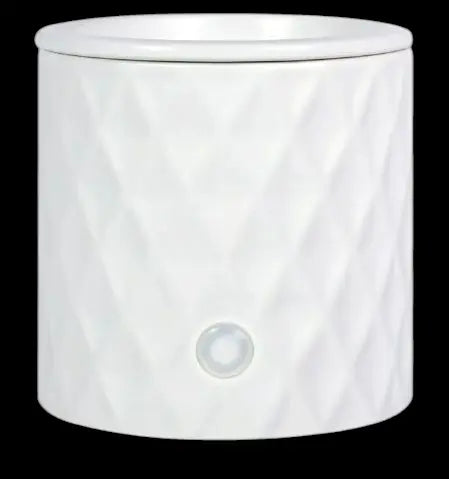Fragrance Warmers - Ambiguous_Melts