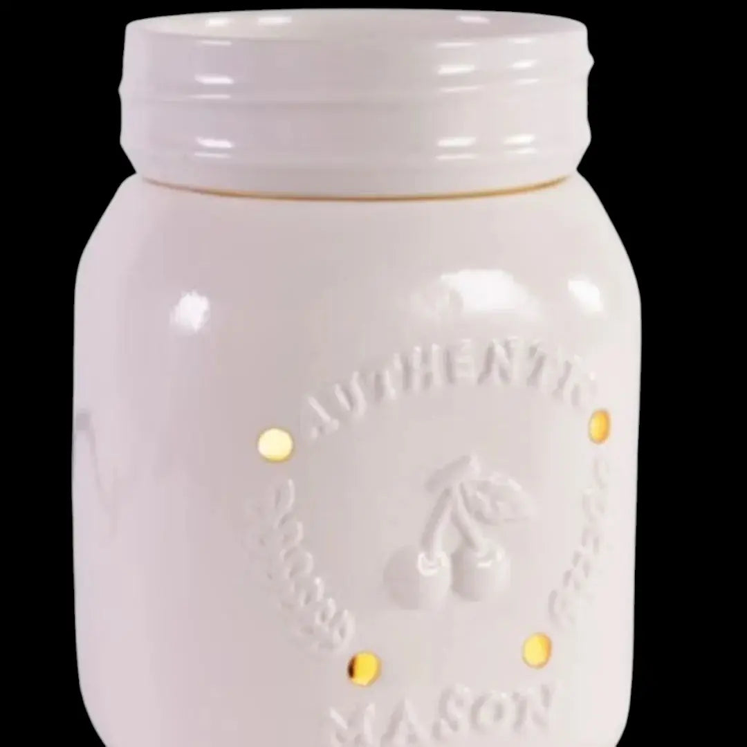 Fragrance Warmers - Ambiguous_Melts